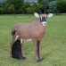 Wildcrete Roan Antelope